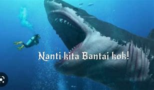 Ikan Hiu Megalodon Pantun